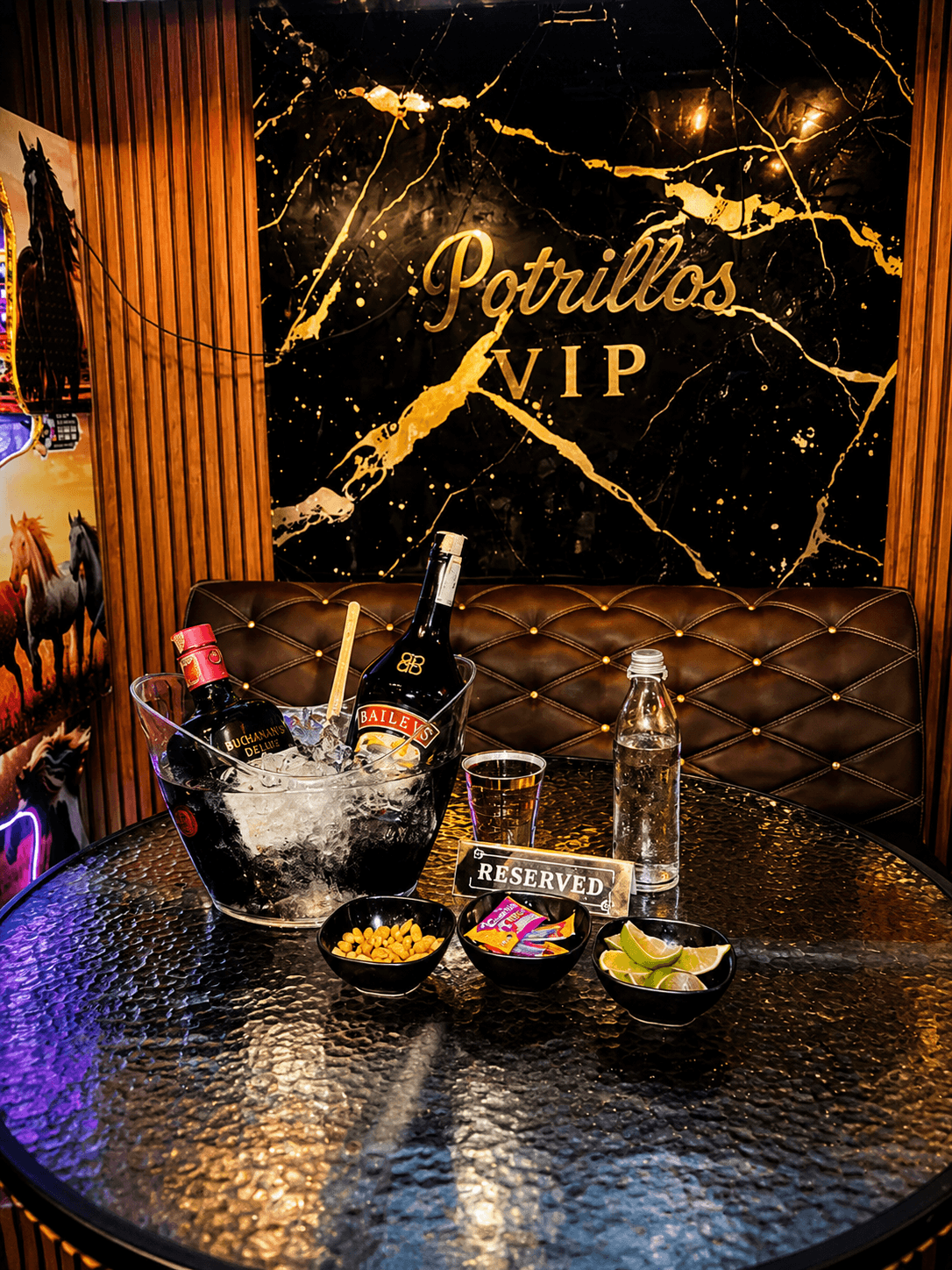 Potrillos VIP